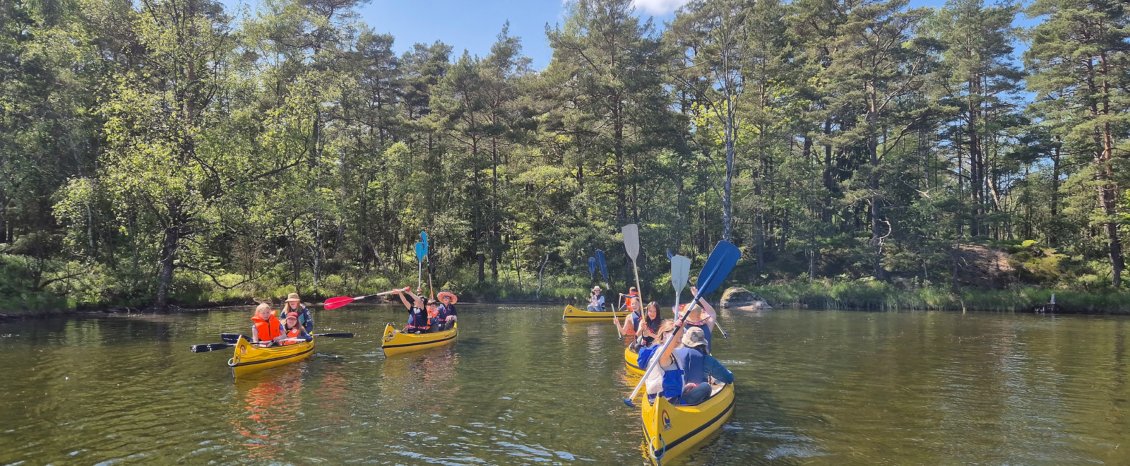 En grupp människor paddlar gula kanoter på en lugn skogssjö under en solig dag med klarblå himmel och gröna träd i bakgrunden.