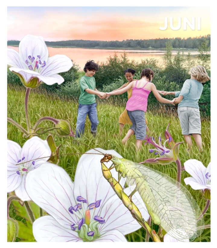 Fyra barn håller varandra i händerna och dansar i en cirkel på en grön äng vid en sjö i solnedgången. Stora vita blommor och en grön guldögonslända syns i förgrunden, med texten "JUNI" i övre högra hörnet.