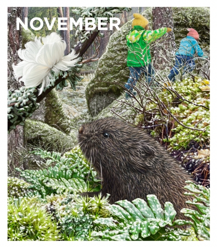 En skogsmiljö i november med ett brunt smådjur i förgrunden bland grön växtlighet och frost. Två barn med färgglada kläder leker bland mossklädda stenar i bakgrunden. Texten "NOVEMBER" syns längst upp.