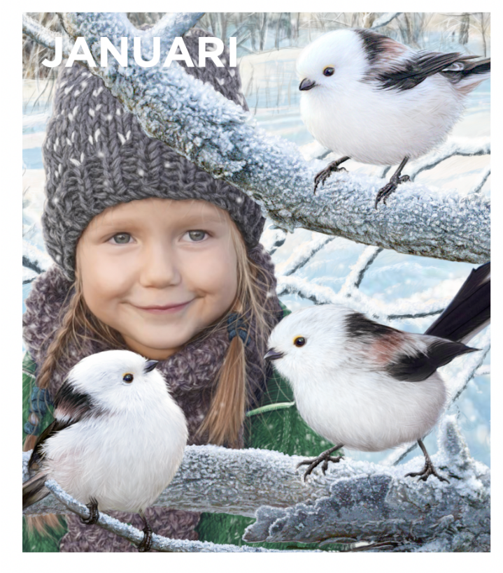 Ett leende barn med flätor och grå stickad mössa står framför snöklädda grenar med tre stjärtmesar. Texten "JANUARI" syns längst upp.