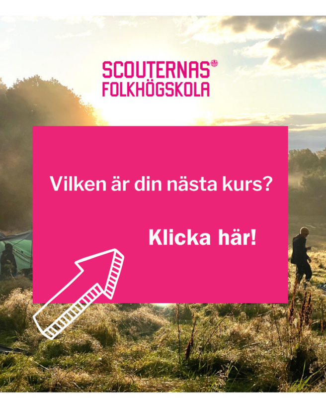 Scouternas folkhögskola-logotyp överst, en solig äng i bakgrunden, och en rosa ruta med texten "Vilken är din nästa kurs? Klicka här!" samt en vit pil som pekar mot texten.